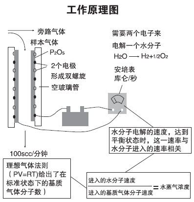 电解法露点仪原理.png